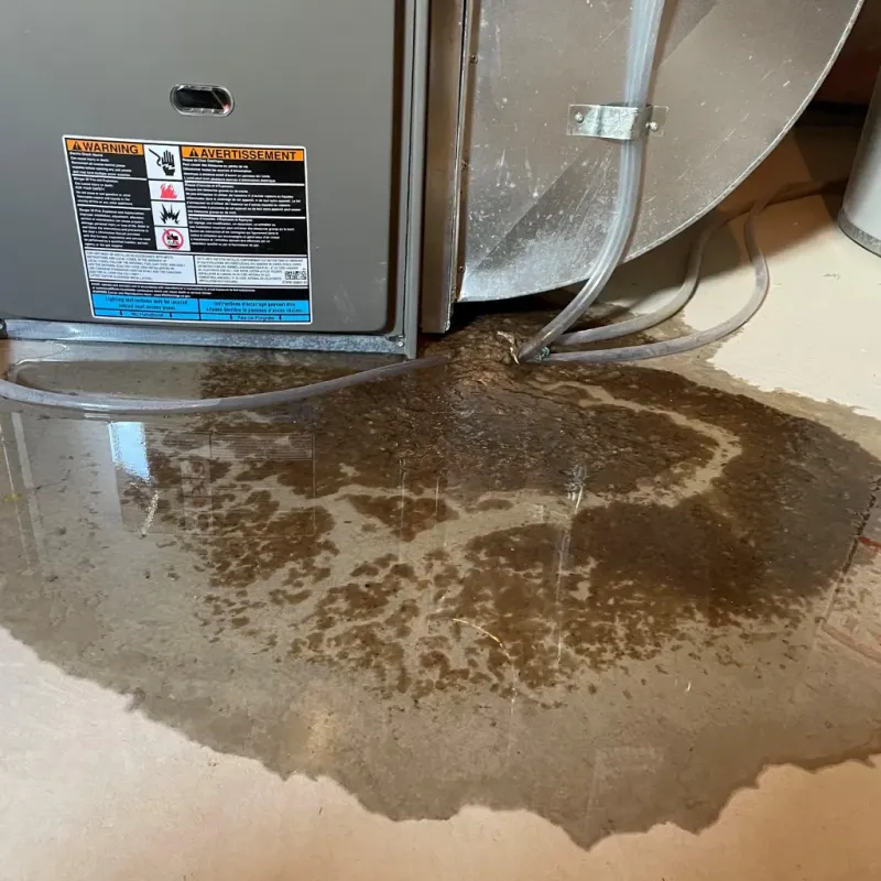 Appliance Leak Cleanup in Lemmon Valley, NV